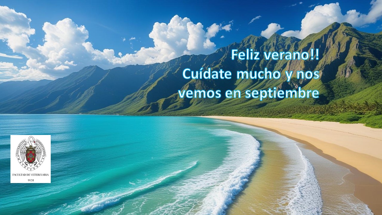 Felices vacaciones